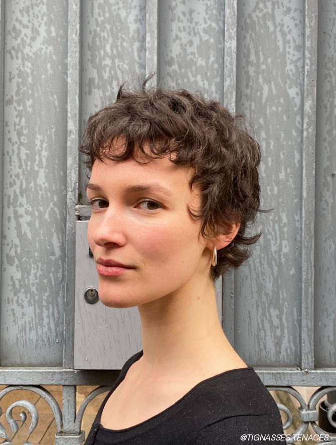 Shaggy Dark Brown Pixie With Wispy Bangs Shaggy Dark Brown Pixie With Wispy Bangs — Babylights Pixie 2027