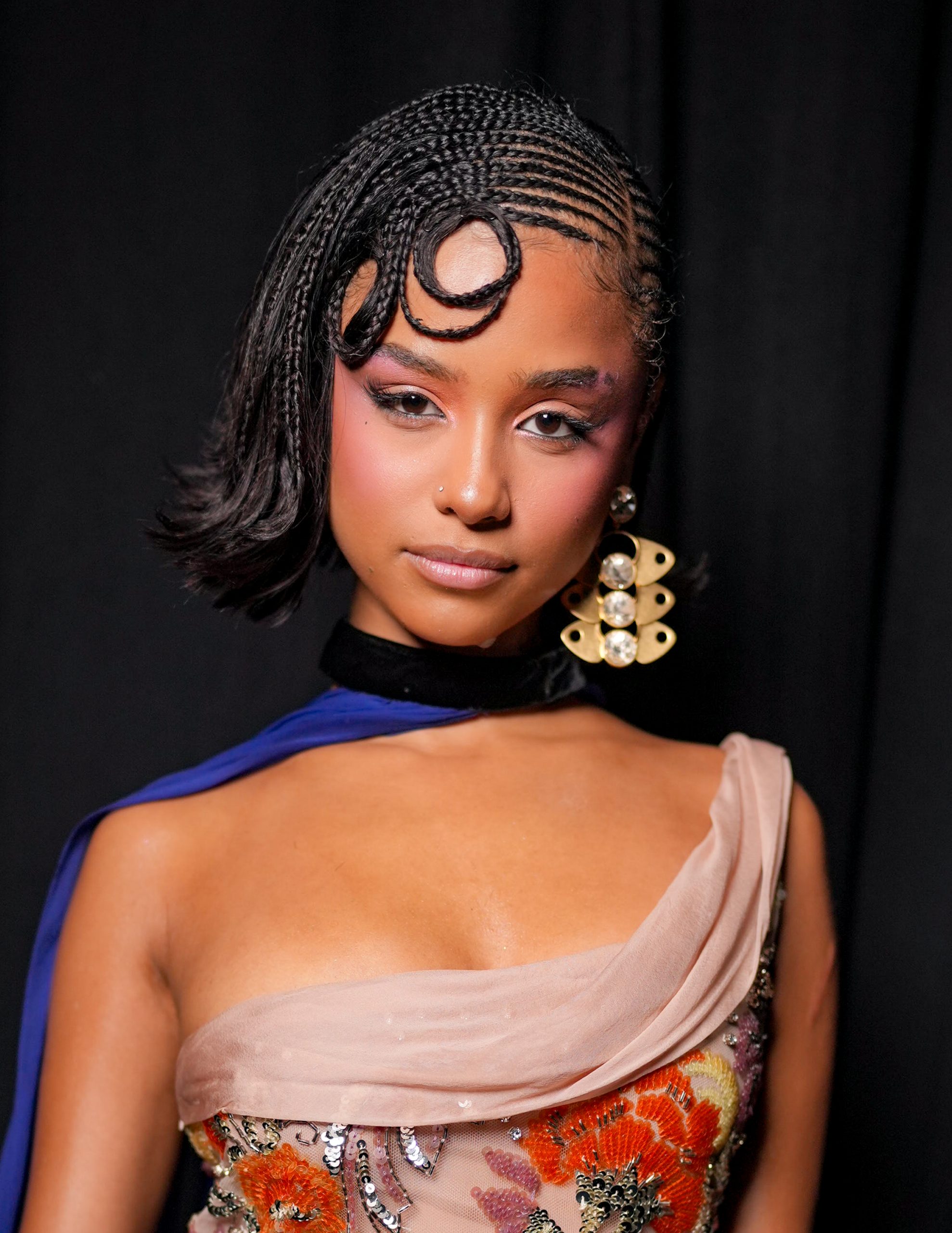 Burgundy Box Braids in a High Bun Burgundy Box Braids in a High Bun — Braided Hairstyles 2027 for Black Women