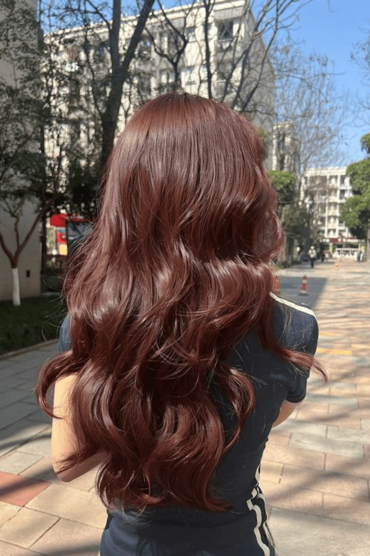 No Bangs Uniform Dark Auburn Back View No Bangs Uniform Dark Auburn Back View — Dark Auburn Hair 2027
