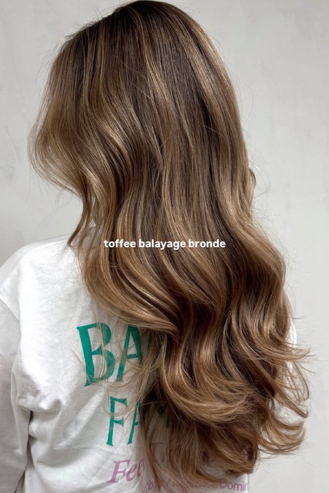 Back View Side Crop Visual Idea Back View Side Crop Visual Idea — Bronde Hair 2027