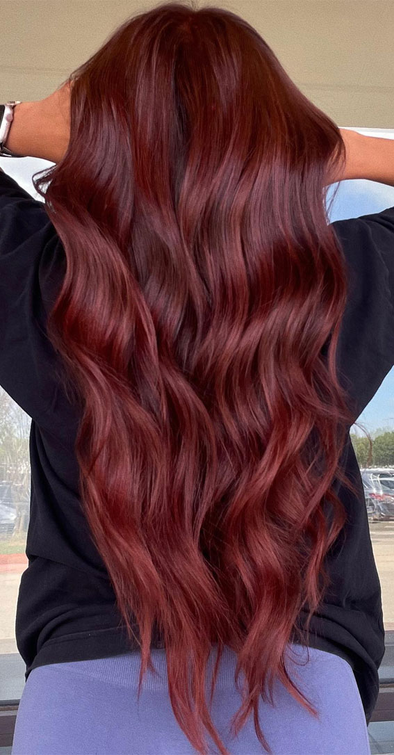 Rich Chestnut Red Back View — Chestnut Red Hair 2027