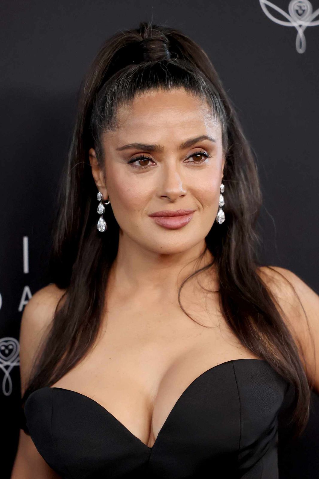 Sleek Dark Brown Ash Highlights Sleek Dark Brown Ash Highlights — Half Up Ponytail Hairstyles 2027