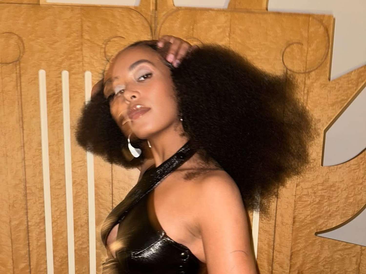 Expansive Volume Afro Expansive Volume Afro — 4C Hairstyles 2027