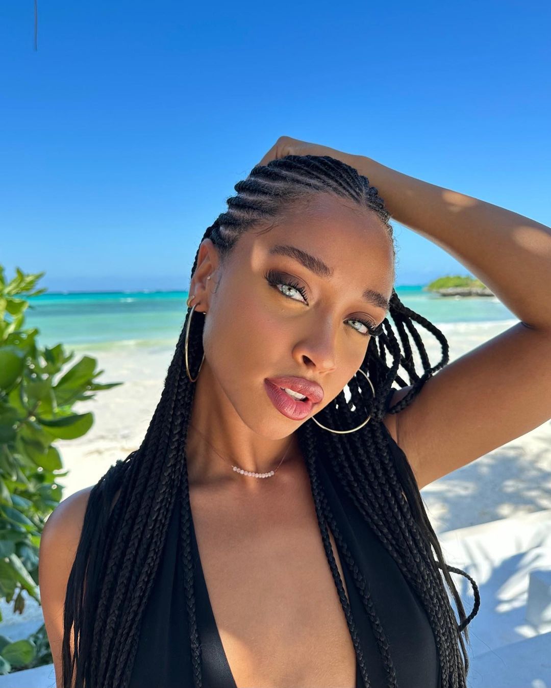 Sleek Mid-Back Black Box Braids — Beach Braids 2027