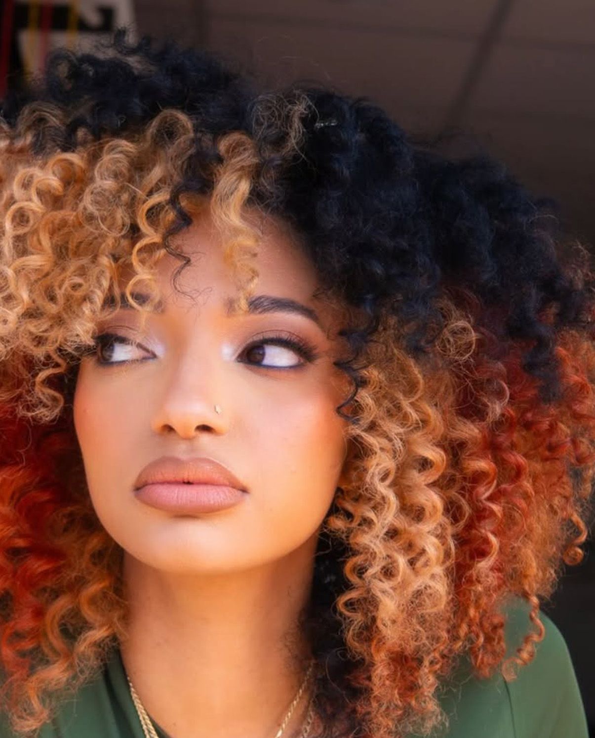 Black Base With Multi-Tone Highlights Black Base With Multi-Tone Highlights — Hair Color 2027 for Curly Hair