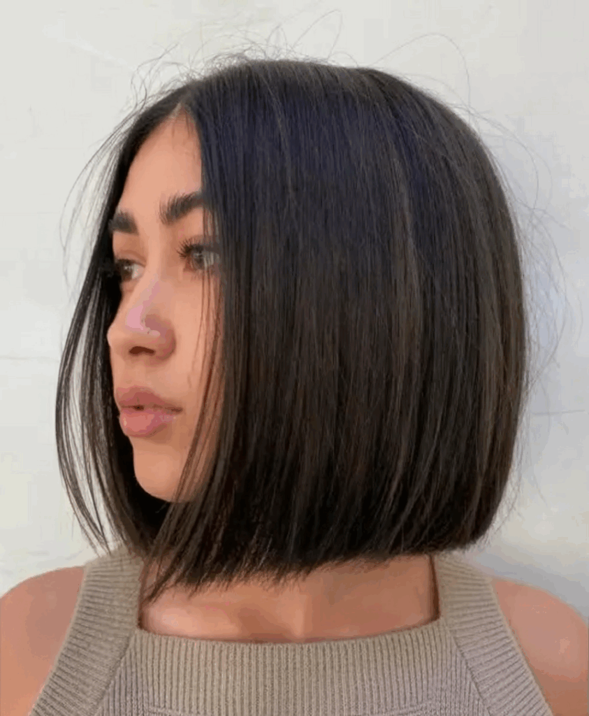 Blunt Bob Thick Dark Brown Chin Bob — Blunt Bob 2027