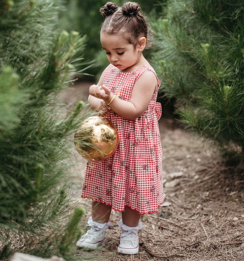 Red Gingham Dress White Socks Outfit Idea Red Gingham Dress White Socks Outfit Idea — Toddler Girl Outfits 2027