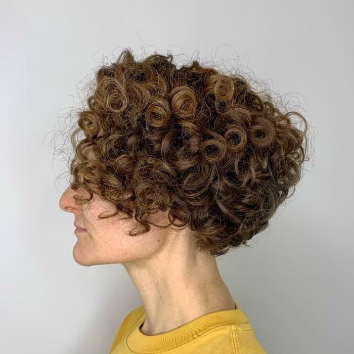 Ear Visual Idea — Loose Curly Hairstyles 2027