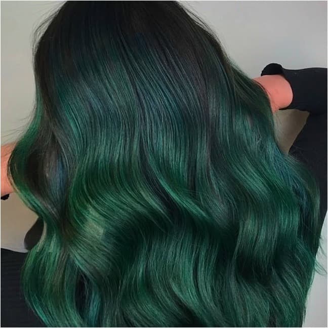 Black To Emerald Green Ombré Black To Emerald Green Ombré — Hair Color Trends 2027