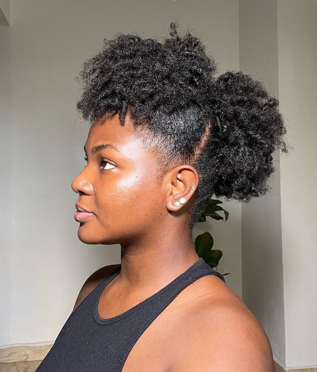 Playful Double Puff Style Playful Double Puff Style — Puff Hairstyles Natural Hair 2027