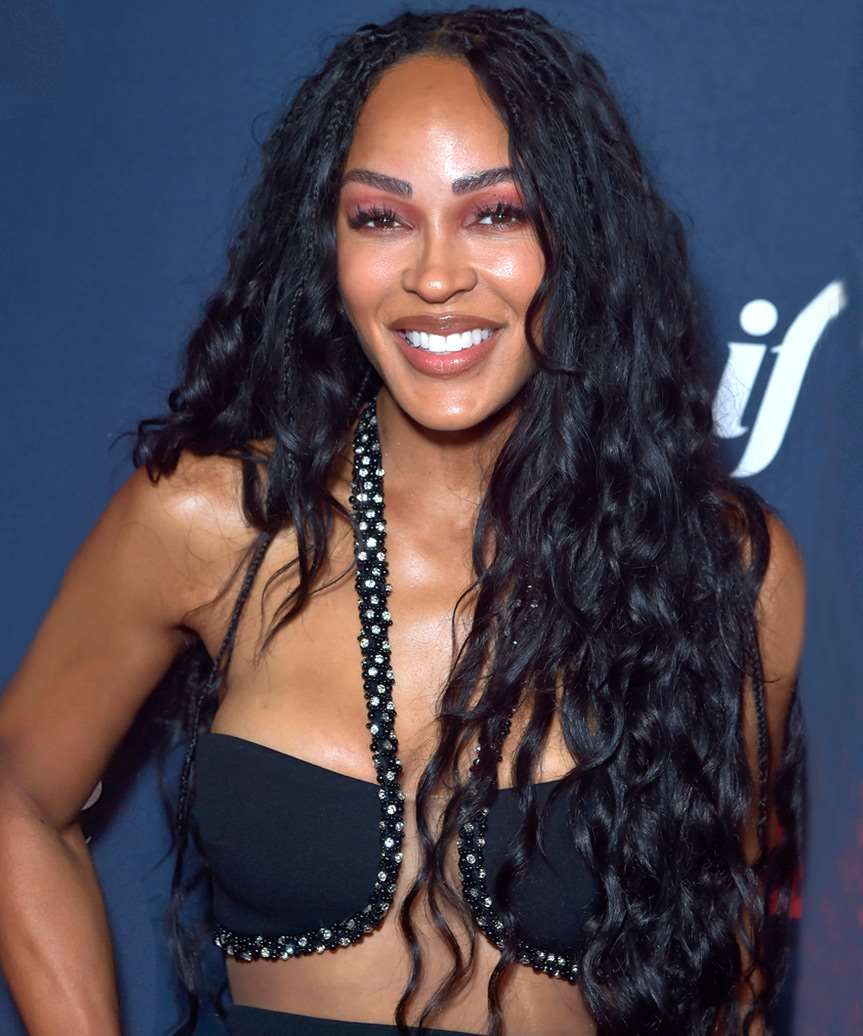 Black Base With Subtle Highlights Visual Idea Black Base With Subtle Highlights Visual Idea — Braided Hairstyles 2027 with Curls