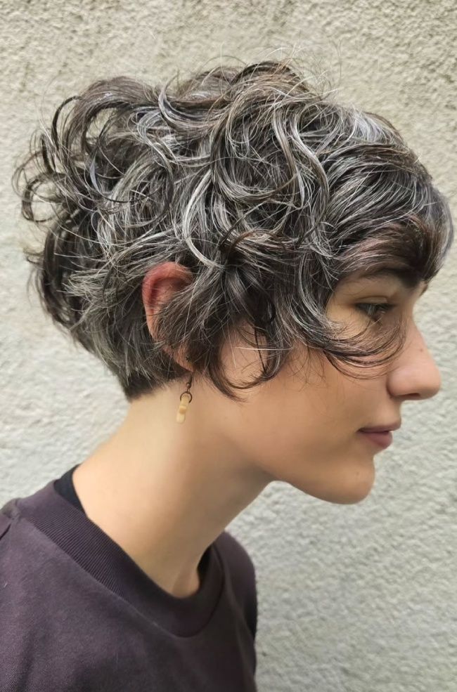 Ash Brown With Grey Highlights Visual Idea Ash Brown With Grey Highlights Visual Idea — Pixie 2027 for Curly Hair