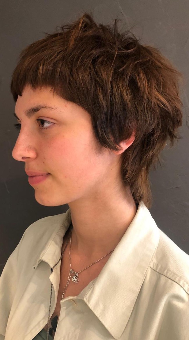 Chin Dark Brown Shag With Micro Fringe Chin Dark Brown Shag With Micro Fringe — Short Shag 2027