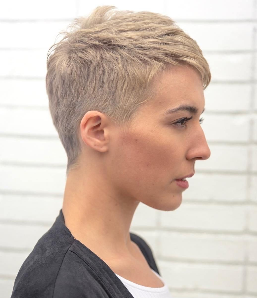 Ash Blonde Pixie With Textured Layers Ash Blonde Pixie With Textured Layers — Textured Pixie 2027