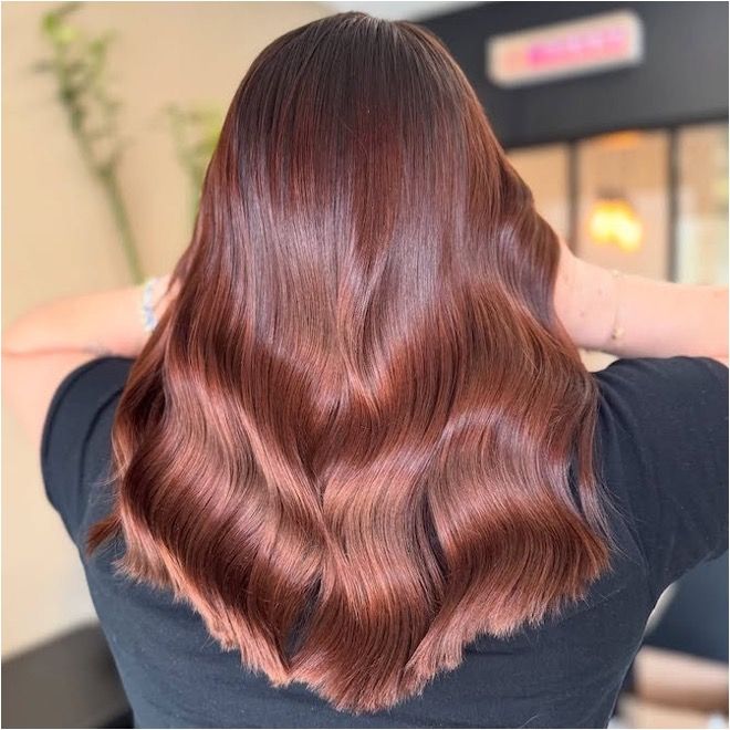 Back View Visual Idea Back View Visual Idea — Caramel Brown Hair 2027