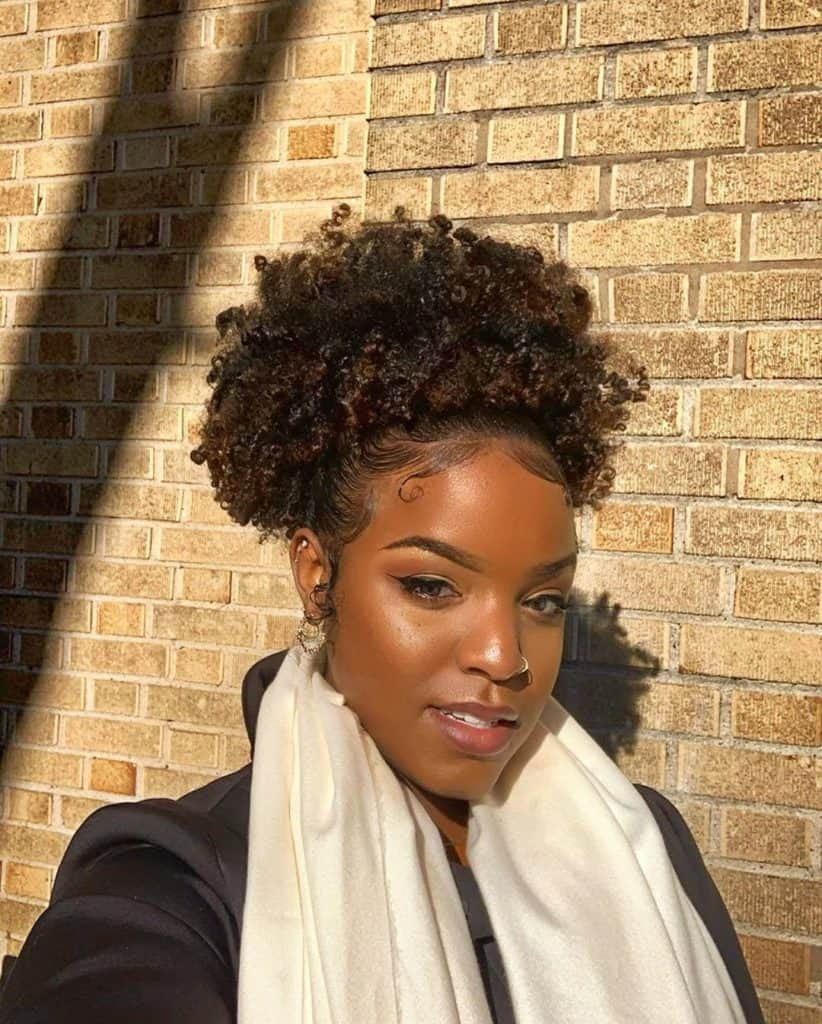 Black With Highlights Visual Idea Black With Highlights Visual Idea — Puff Hairstyles Natural Hair 2027