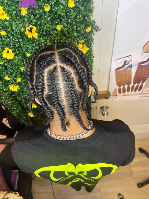 Symmetrical Shoulder-Length Box Braids Symmetrical Shoulder-Length Box Braids — Winter Box Braids 2027