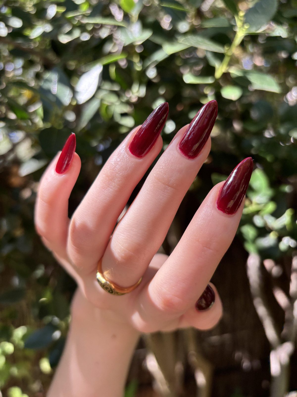 Solid Color Visual Idea Solid Color Visual Idea — Dark Red Nails 2027