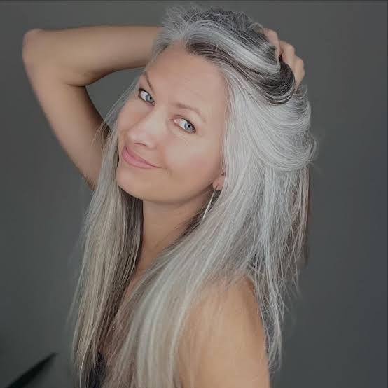 Front View Visual Idea Front View Visual Idea — Balayage on Gray Hair 2027