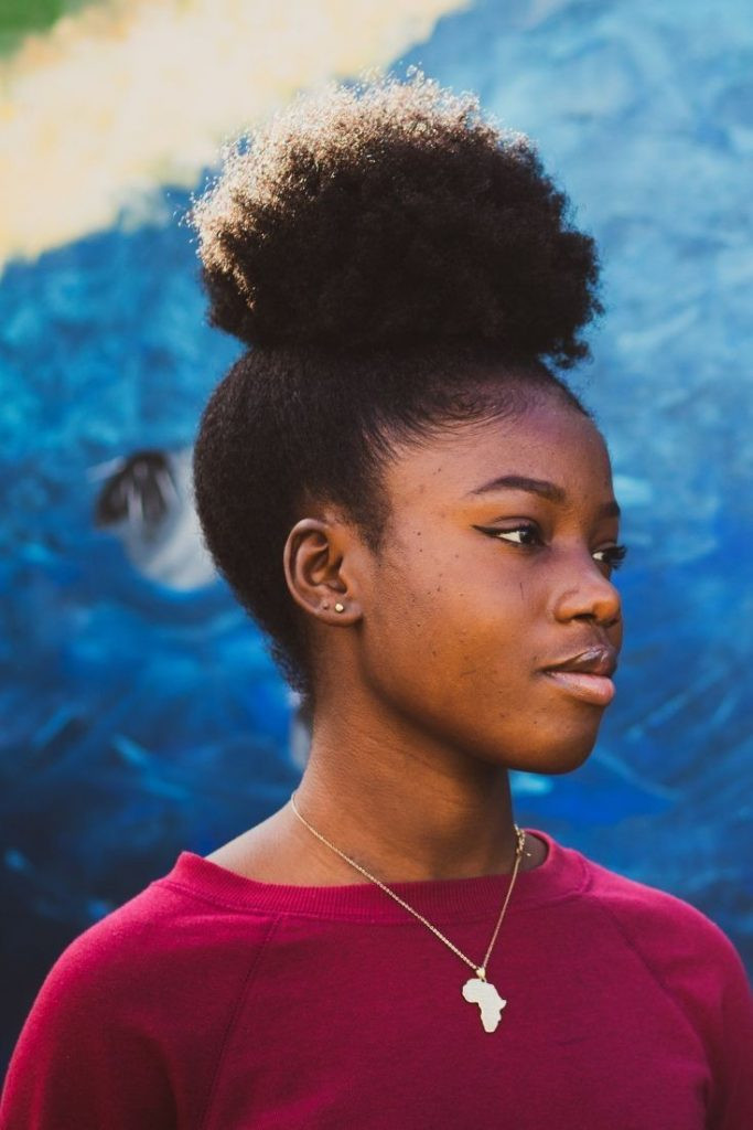 High Puff With Neat Cornrows High Puff With Neat Cornrows — High Puff 2027