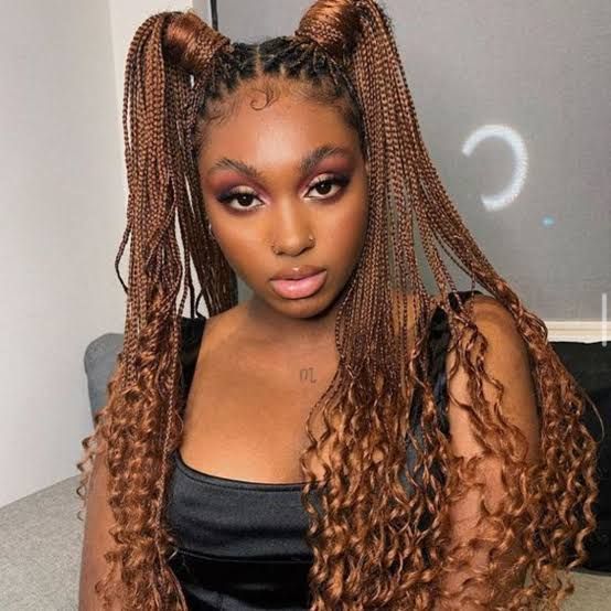 Front And Side View Visual Idea — Winter Braid Colors 2027 for Black Women