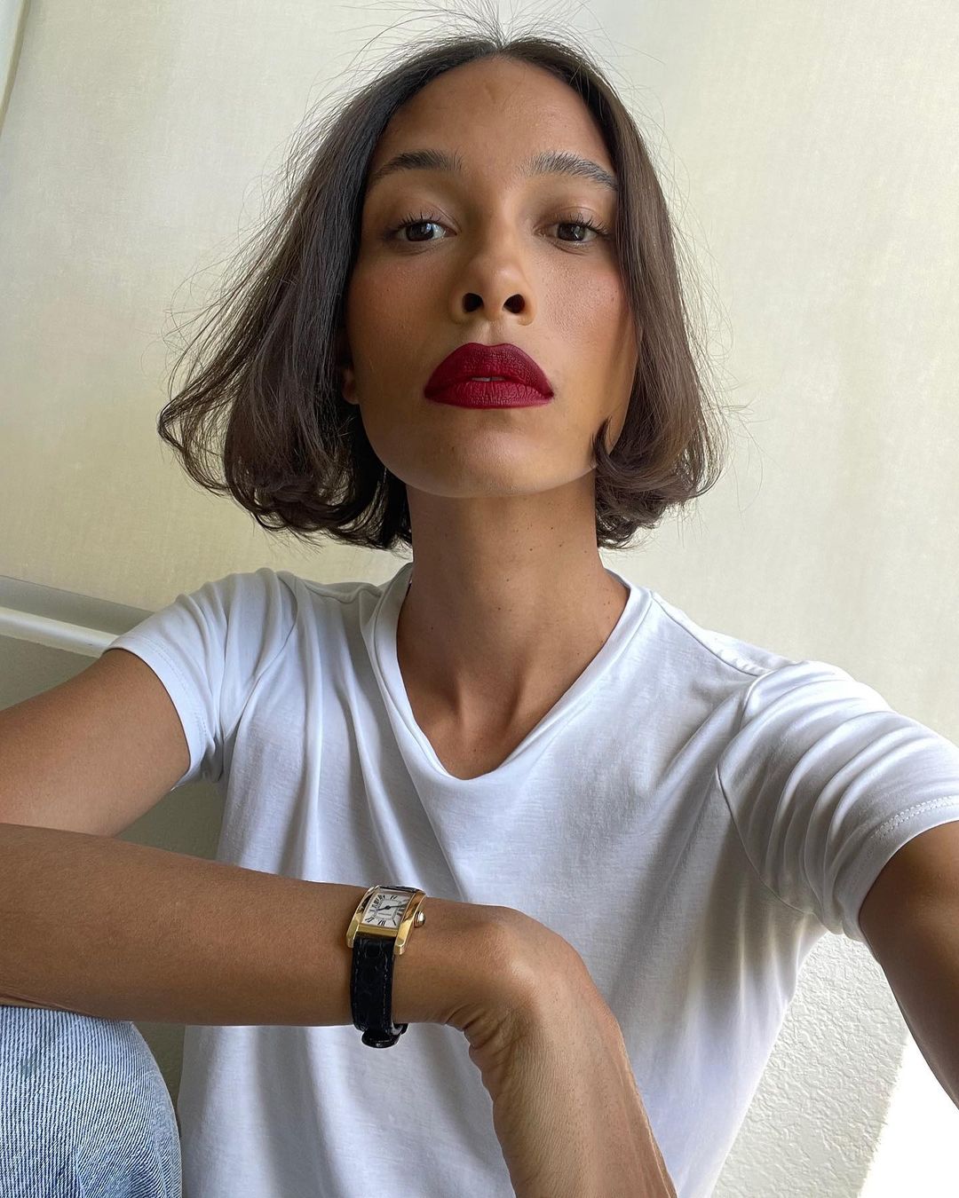 Air-Dried Chin Bob For Fine Hair Air-Dried Chin Bob For Fine Hair — Classic Bob 2027
