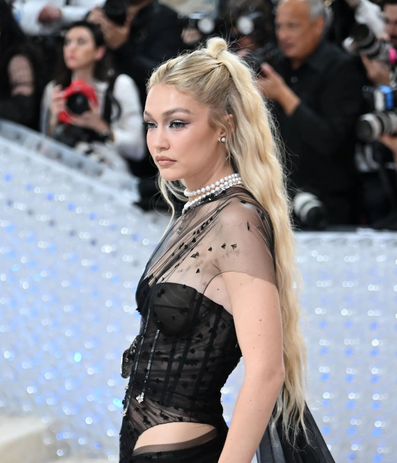 Ponytail Visual Idea — Gala Hairstyles 2027