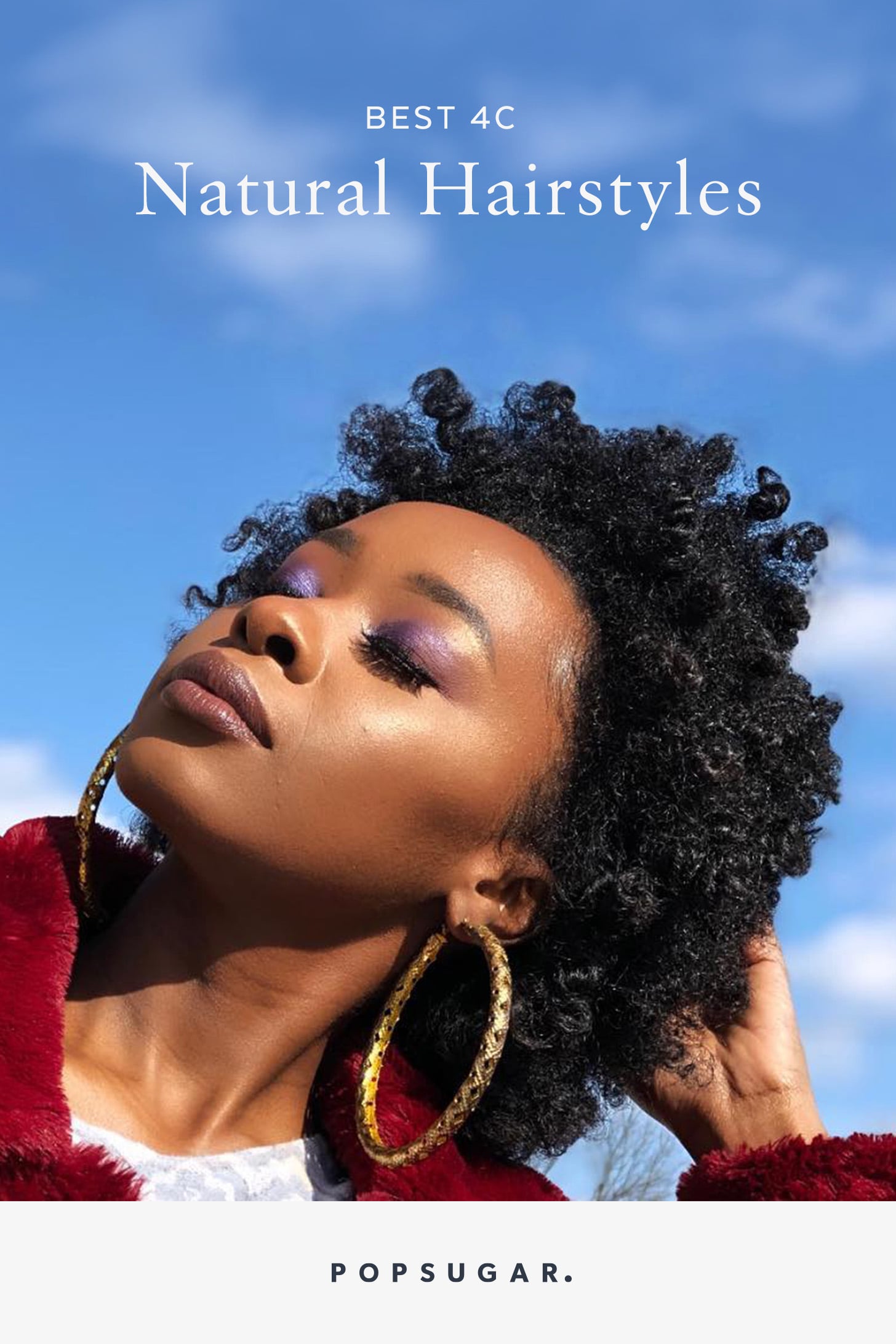 Full Voluminous Afro Full Voluminous Afro — 4C Hairstyles 2027