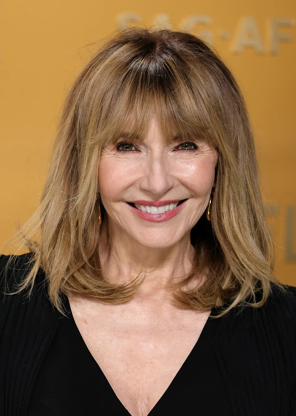 Light Brown Layers With Wispy Bangs Light Brown Layers With Wispy Bangs — Bangs 2027 for Women Over 50