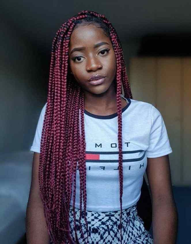 Loose Mid-Back Burgundy Braids Loose Mid-Back Burgundy Braids — Burgundy Knotless Braids 2027