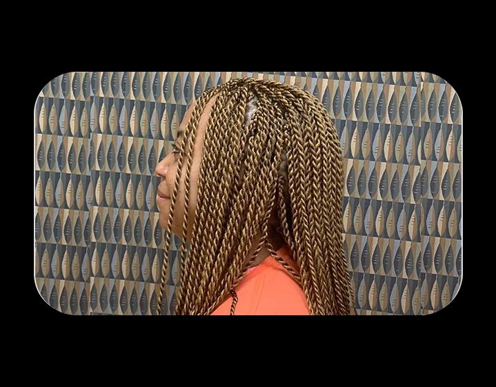 Two-Tone Blonde and Brown Braids Two-Tone Blonde and Brown Braids — Bora Bora Braids 2027