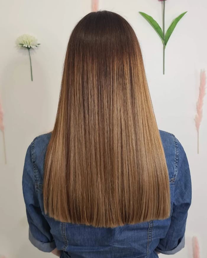 Side View Visual Idea Side View Visual Idea — Bronde Hair 2027