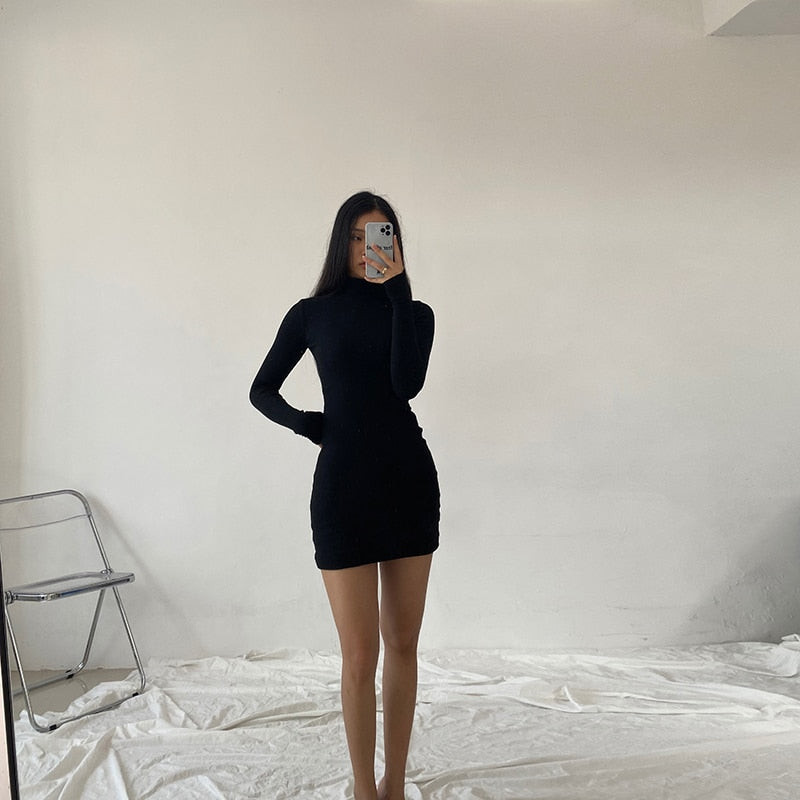 Minimalist Black Rib Knit Turtleneck Mini Dress Minimalist Black Rib Knit Turtleneck Mini Dress — Mini Dresses 2027 for Skinny Girls