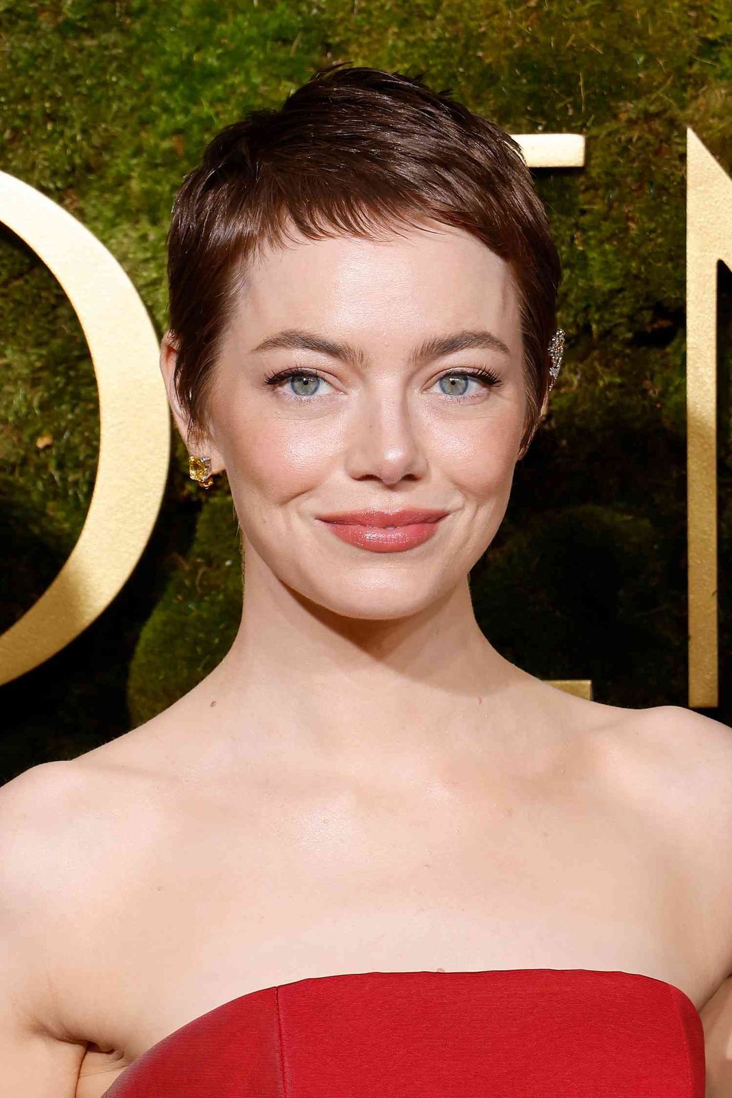 Short Textured Light Brown Pixie Short Textured Light Brown Pixie — Pixie Cut 2027 for Round Face