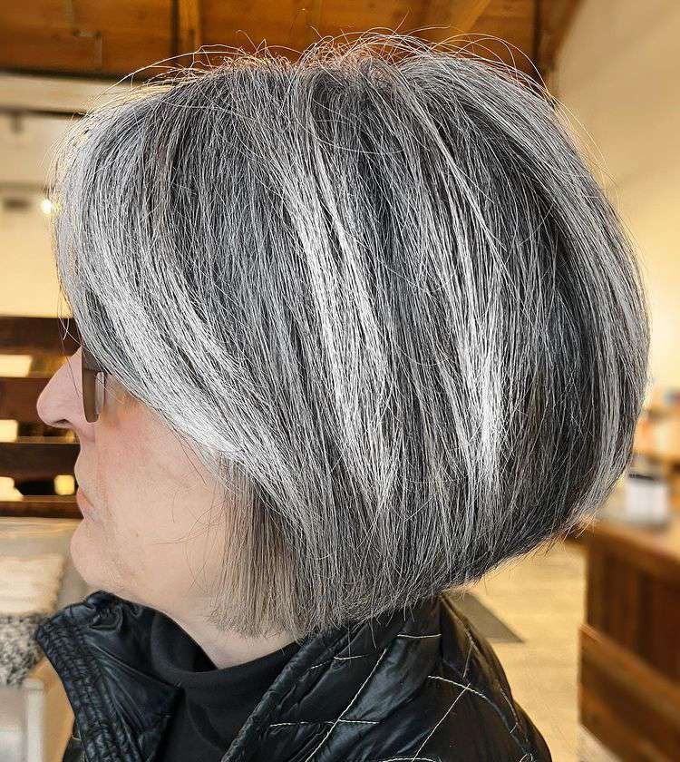 Silver Gray With Blonde Highlights Visual Idea — Transitioning to Gray Hair 2027