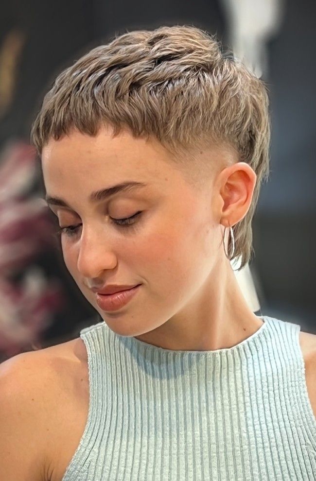 Pixie Visual Idea Pixie Visual Idea — Lowlights Pixie 2027