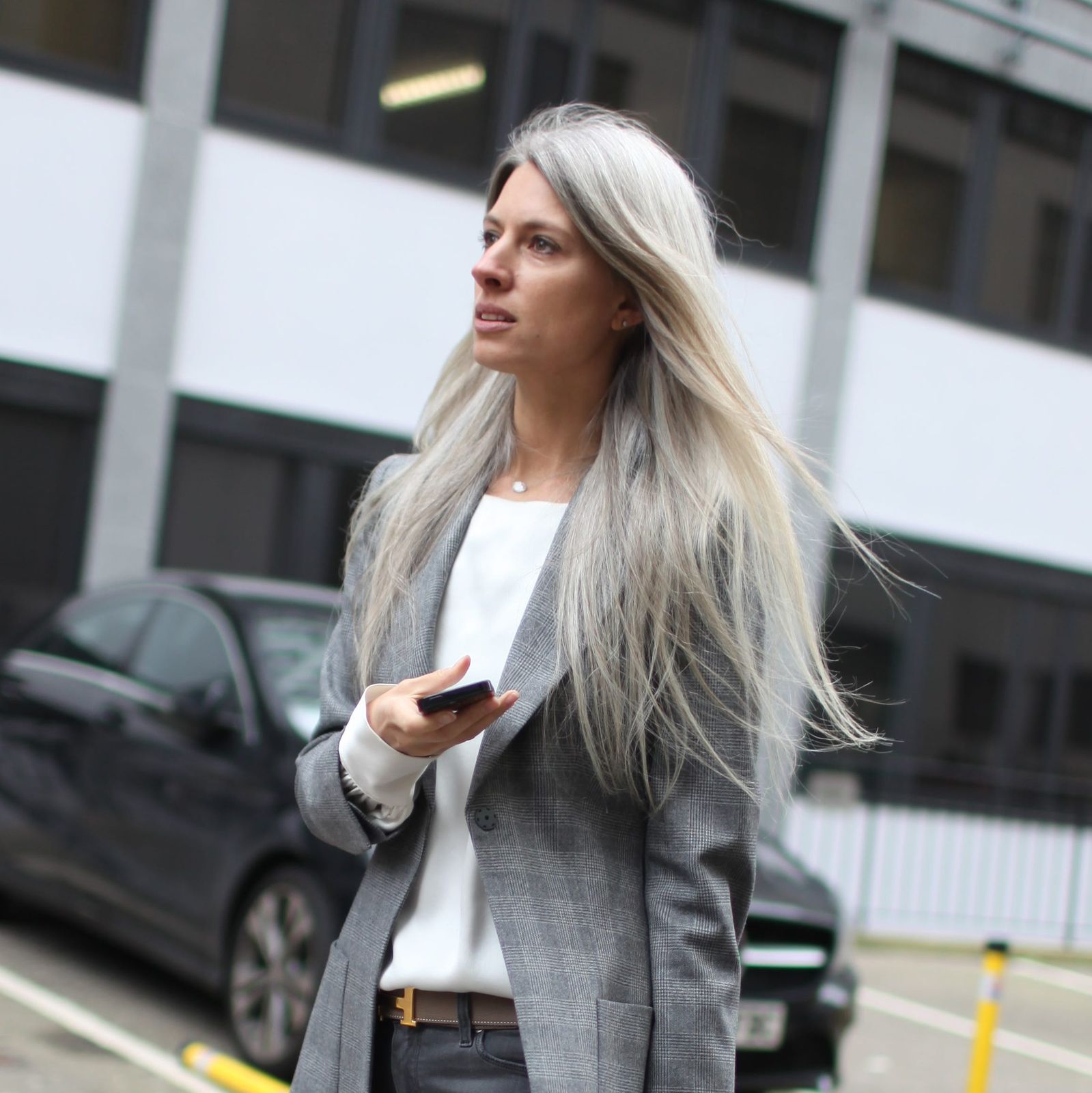 Cool Silver Long Wavy Hair — Silver Hair 2027
