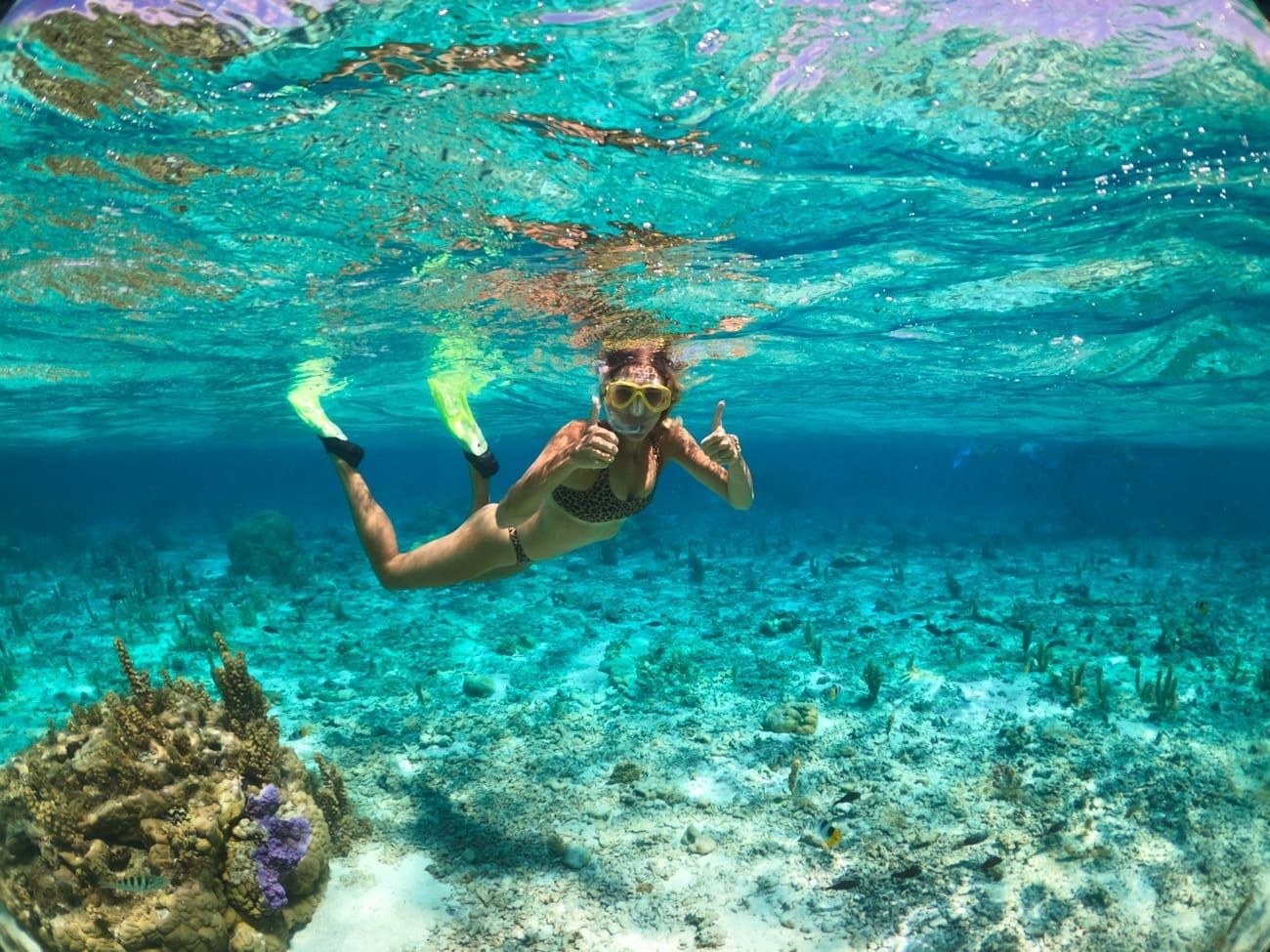 Underwater Adventure: Leopard Print Bikini Underwater Adventure: Leopard Print Bikini — Bora Bora Outfits 2027