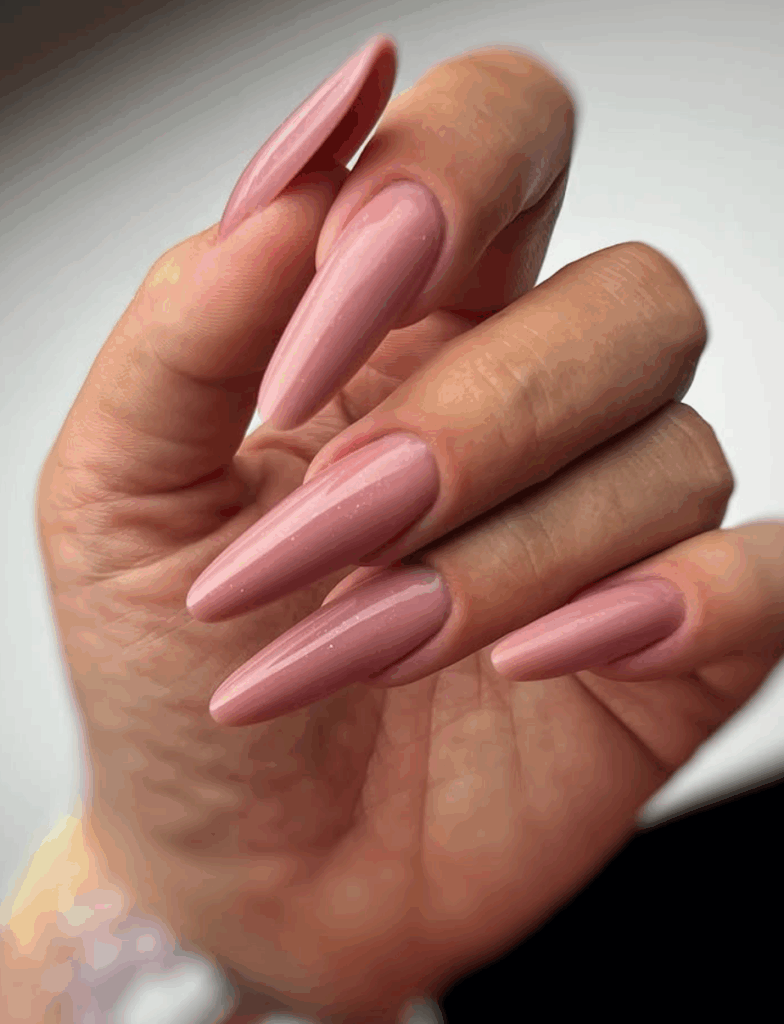 Dusty Rose Shimmer Stiletto Nails Dusty Rose Shimmer Stiletto Nails — Long Nails 2027