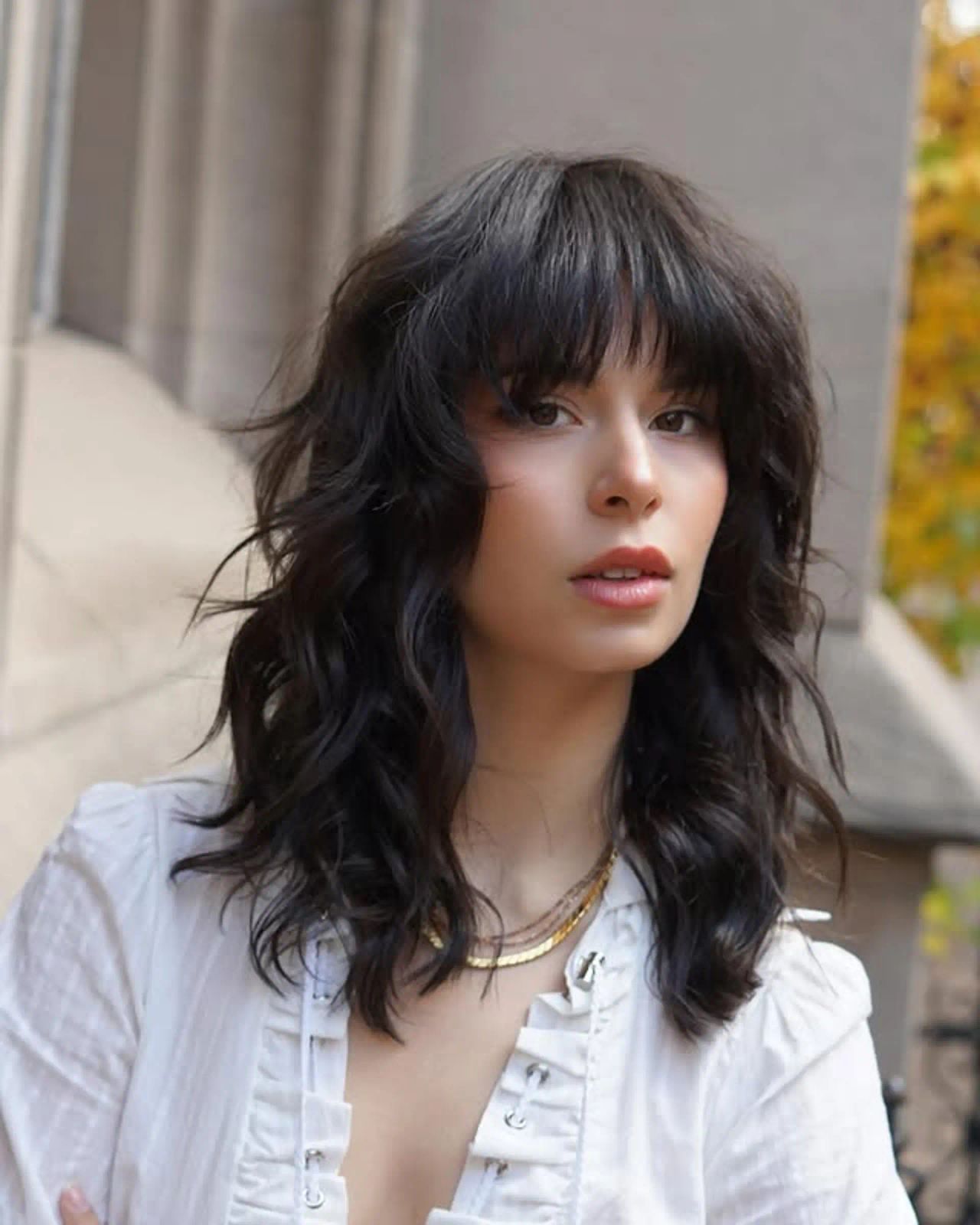 Full Fringe Visual Idea — Evolved Shag 2027