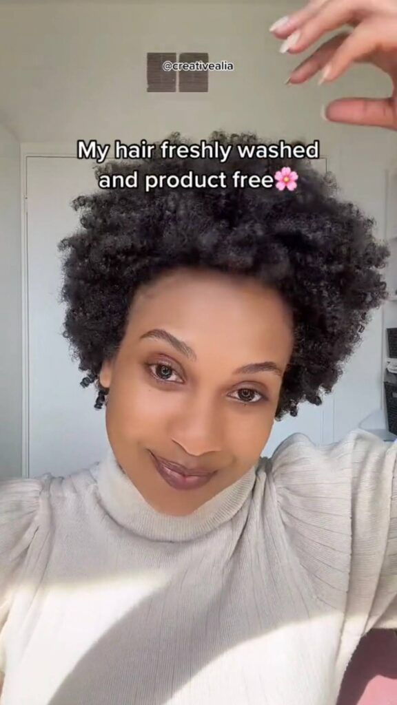Natural Visual Idea Natural Visual Idea — Wash and Go Hairstyles 2027