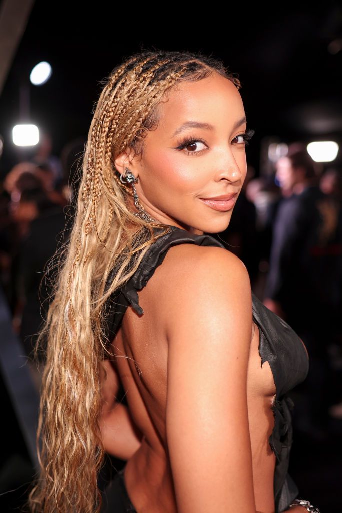 Blonde Highlights Visual Idea — Winter Braid Colors 2027 for Black Women
