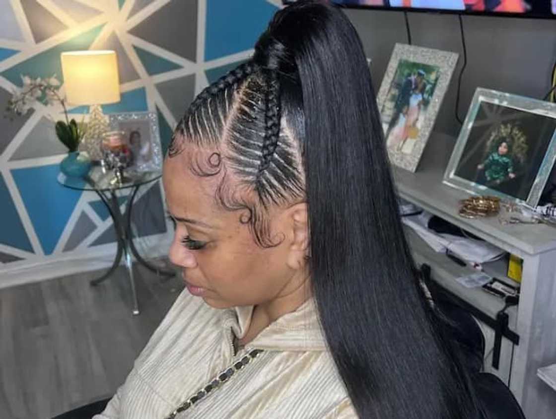 Black Braided Ponytail With Sleek Hair Black Braided Ponytail With Sleek Hair — Braided Ponytail 2027