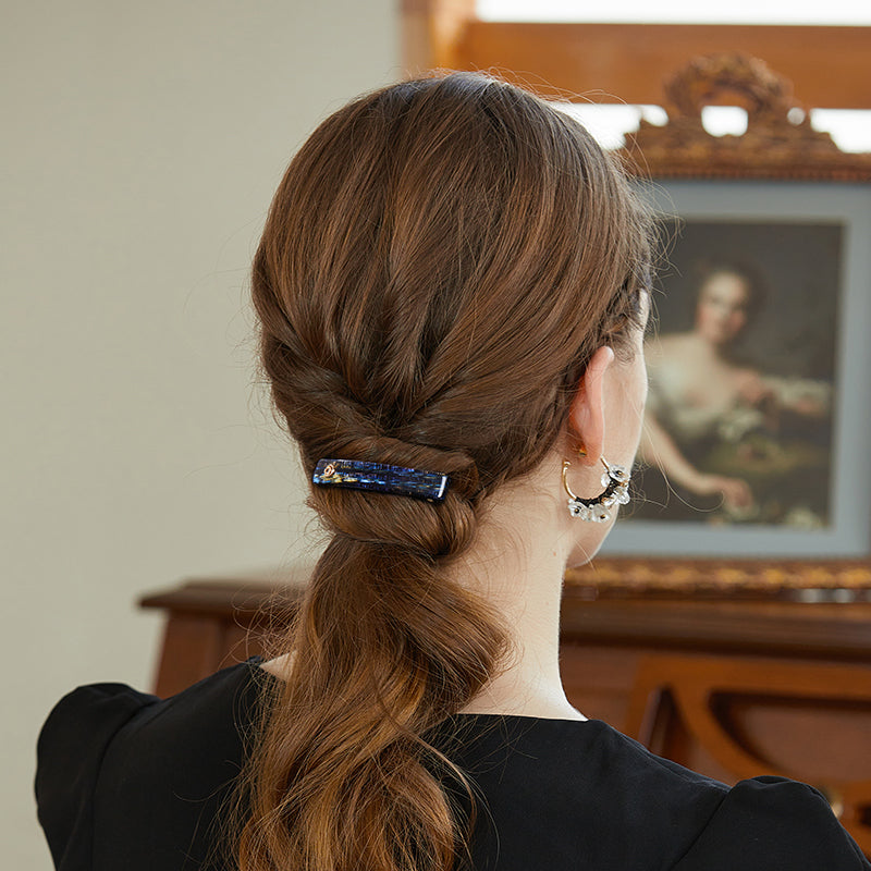 Decorative Barrette on Brown Braided Ponytail — Barrette Hairstyles 2027