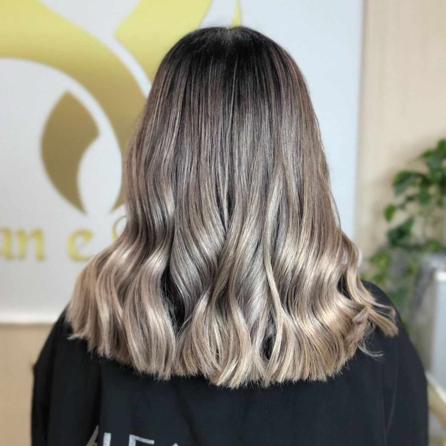 Back View Visual Idea Back View Visual Idea — Balayage on Gray Hair 2027