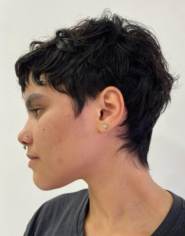 Choppy Layered Pixie Cut — Pixie 2027 for Natural Hair