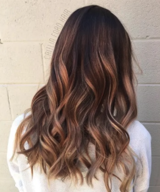 Back View Visual Idea — Balayage on Wavy Hair 2027