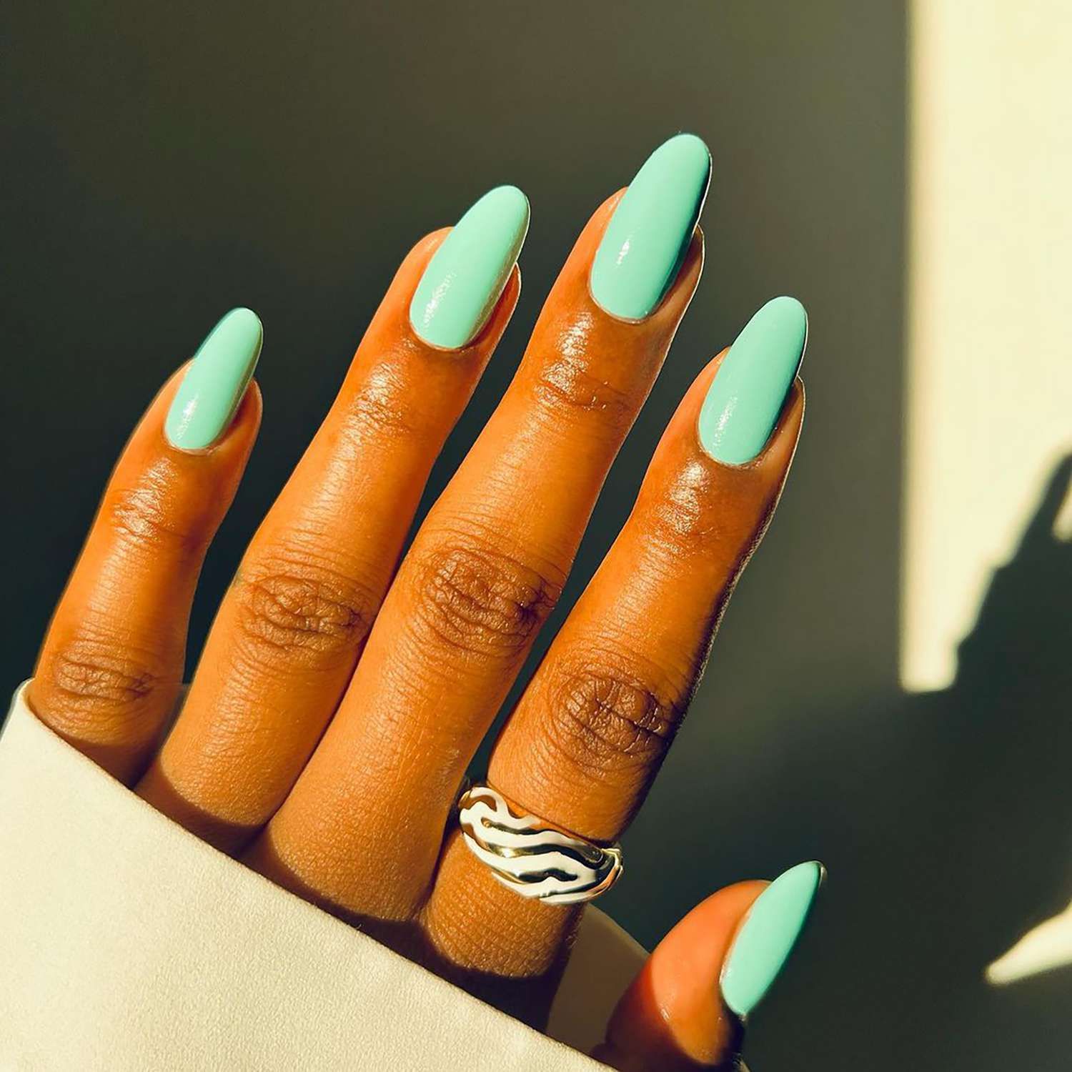 Mint Green Visual Idea Mint Green Visual Idea — Winter Nail Colors 2027 for Dark Skin