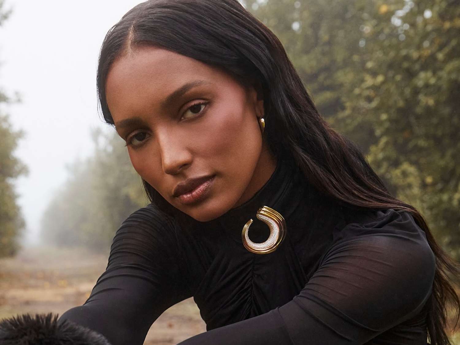 Neckline Radiance: A Gold and Diamond Brooch on a Black High-Neck Top Neckline Radiance: A Gold and Diamond Brooch on a Black High-Neck Top — Brooch Outfits 2027