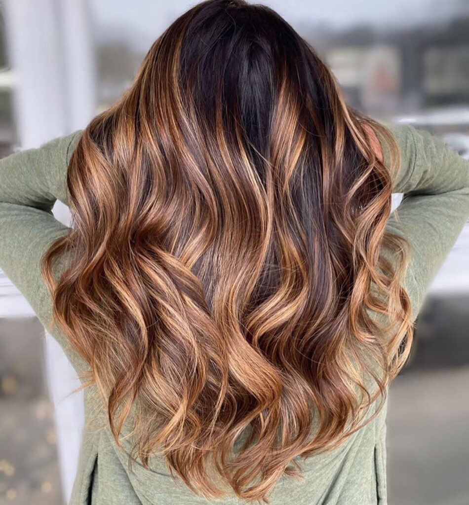 Blonde and Caramel Highlights on Dark Brown — Dark Brown Hair Reaching Mid-Back Blonde and Caramel Highlights on Dark Brown — Dark Brown Hair Reaching Mid-Back — Highlights Trends 2027